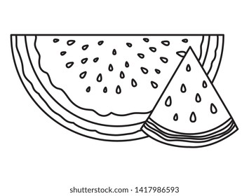 fresh watermelon tropical fruit portion