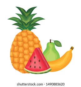 fresh watermelon and tropical fruits