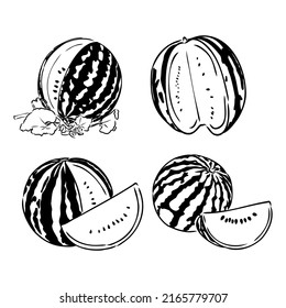 fresh watermelon with two type of slice and using sketch style