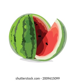 fresh watermelon vector white background