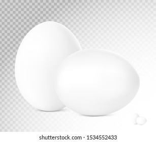 Fresh white chicken eggs. Realistic vector illustration  on transparent background.  Ready for your design. EPS10.