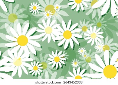 Fresh, white daisies on pastel green background. Wild flowers. Meadow concept. Springtime. Bright colors. Mockup for special offers as advertising or other ideas. Flat lay.