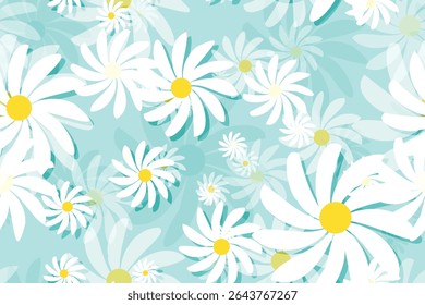Fresh, white daisies on pastel Blue background. Wild flowers. Meadow concept. Springtime. Bright colors. Mockup for special offers as advertising or other ideas. Flat lay.