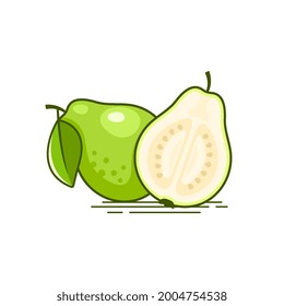Fresh white Guava fruit and guava pieces vector illustration