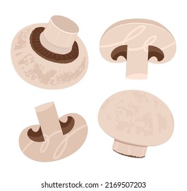 Fresh white mushrooms. Various angle white mushrooms, sliced ​​engraving vector illustration.