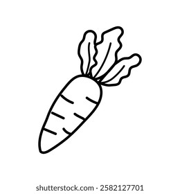 Fresh white radish line art doodle illustration