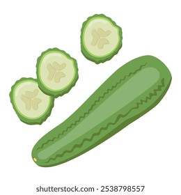 Fresh whole cucumber and its cut piece. Raw green vegetable. Healthy veggie food. Flat vector illustration isolated on white background