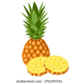 Fresh whole and cut rings pineapple fruit isolated on white background. Summer fruits for healthy lifestyle. Organic fruit. Cartoon style. Vector illustration for any design.