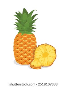Fresh whole and cut rings pineapple fruit isolated on white background. Summer fruits for healthy lifestyle. Organic fruit. Cartoon style. Vector illustration.