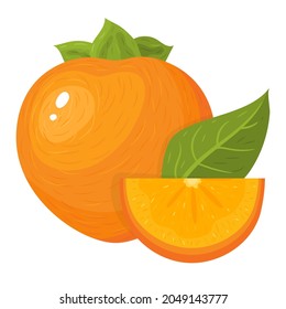 Fresh whole and cut slice persimmon fruits isolated on white background. Summer fruits for healthy lifestyle. Organic fruit. Cartoon style. Vector illustration for any design