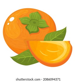 Fresh whole and cut slice persimmon fruits isolated on white background. Summer fruits for healthy lifestyle. Organic fruit. Cartoon style. Vector illustration for any design.