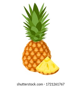 Fresh whole and cut slice pineapple fruit isolated on white background. Summer fruits for healthy lifestyle. Organic fruit. Cartoon style. Vector illustration for any design.