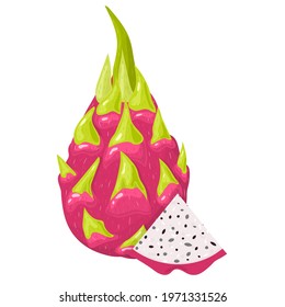 Fresh whole and cut slice red pitaya fruits isolated on white background. Summer fruits for healthy lifestyle. Organic fruit. Cartoon style. Vector illustration for any design.