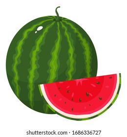 Fresh whole and cut slice watermelon fruit isolated on white background. Summer fruits for healthy lifestyle. Organic fruit. Cartoon style. Vector illustration for any design.