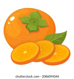 Fresh whole and cut slices persimmon fruits isolated on white background. Summer fruits for healthy lifestyle. Organic fruit. Cartoon style. Vector illustration for any design.