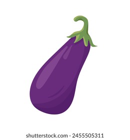 Fresh whole Eggplant vegetable. Farm eggplant plant icon. Organic garden vegetarian food. Vector illustration isolated on white background.