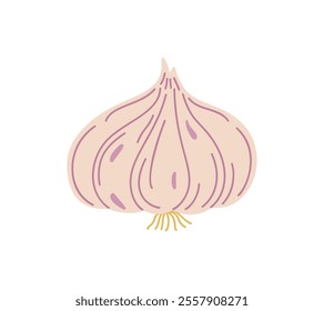 Fresh whole garlic aromatic bulb simple hand drawn vector illustration, organic healthy life style diet, food nutrient for seasoning different dishes, full of vitamins and minerals