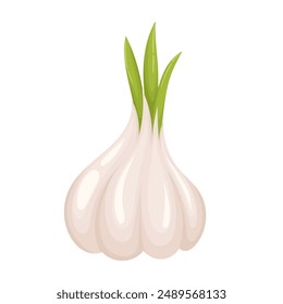 Ajo entero fresco en estilo de Vector plano aislado sobre fondo blanco. Ingredientes para cocinar, vegetarianismo.