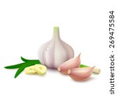 Fresh whole garlic, two cloves, slices and greens isolated on white background. Vector illustration.