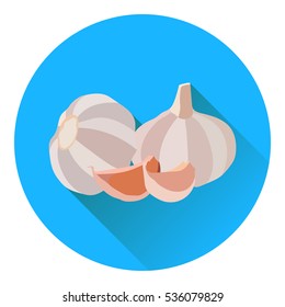 Fresh whole garlic, two cloves. Vector illustration. Flat style with long shadow.