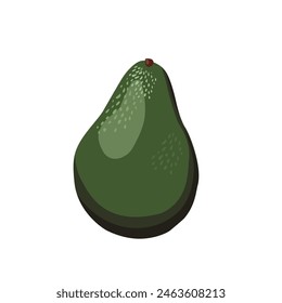 Fresh whole green avocado isolated on white background. Side view vector clipart. Food illustration in flat style. Summer clipart for design of card, banner, flyer, sale, poster for party