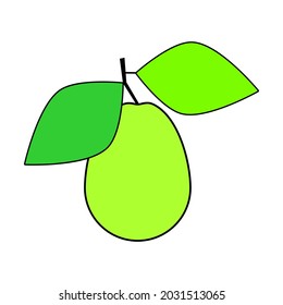 Fresh whole guava with leaves on white background.