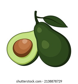 Fresh whole and half avocado isolated on white background. Vector illustration