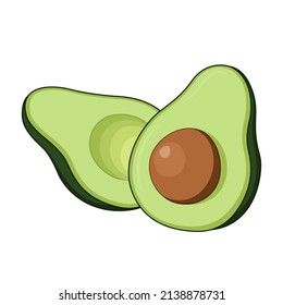 Fresh whole and half avocado isolated on white background. Vector illustration
