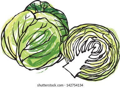 Fresh whole & half cabbage head vector illustration