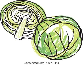 Fresh whole & half cabbage head vector illustration