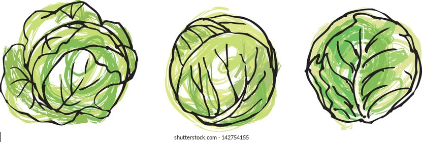 Fresh whole & half cabbage head vector illustration