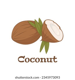 Fresh whole and a half coconut with green leaves . Vector illustration isolated on white background.