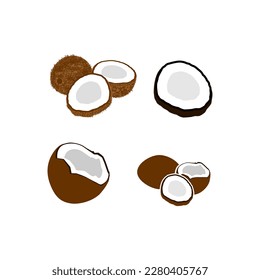 Fresh whole and a half coconut. Realistic vector illustration isolated on white background.