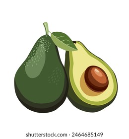Fresh whole and half cut green avocado with leaf isolated on white background. Side view vector clipart. Summer food illustration in flat style for design of card, banner, flyer, poster for party