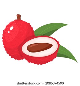 Fresh whole and half cut lychee fruit with leaf isolated on white background. Summer fruits for healthy lifestyle. Organic fruit. Cartoon style. Vector illustration for any design.