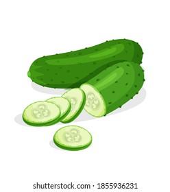Fresh whole, half, cut slice and piece of cucumber isolated on white background. Vegan food vector vegetable icons in a trendy cartoon style. Healthy food concept