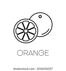Icono de línea de fruta de naranja de rodaja cortada, fresca, entera, media, aislada sobre fondo blanco. Mandarina. Fruta orgánica. Estilo plano. Ilustración vectorial para cualquier diseño.