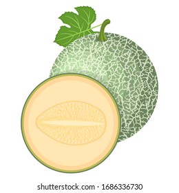 Fresco entero, medio melón aislado en fondo blanco. Melón cantaloupe. Frutas de verano para un estilo de vida saludable. Fruta orgánica. Estilo de caricatura. Ilustración vectorial para cualquier diseño.