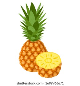 Fresh whole and half pineapple fruit isolated on white background. Summer fruits for healthy lifestyle. Organic fruit. Cartoon style. Vector illustration for any design.