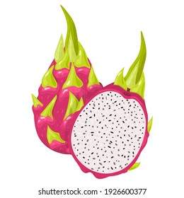 Fresh whole and half red pitaya fruits isolated on white background. Summer fruits for healthy lifestyle. Organic fruit. Cartoon style. Vector illustration for any design.