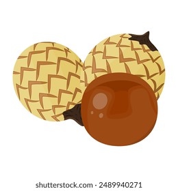 Fresh Whole Kaffir Limes in Vector Design