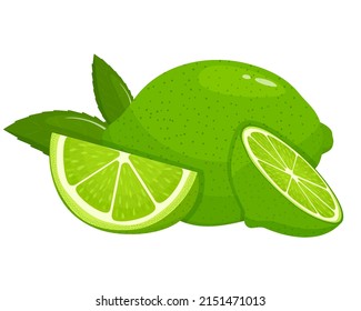 Limpieza completa, mitad y trozo de cal fresca con hojas aisladas en fondo blanco. Frutos de verano para un estilo de vida saludable. Fruta orgánica. Estilo de caricatura. Ilustración vectorial para cualquier diseño.