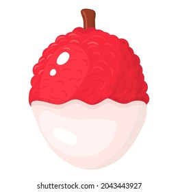 Fresh whole lychee fruit without half peel isolated on white background. Summer fruits for healthy lifestyle. Organic fruit. Cartoon style. Vector illustration for any design.