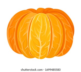 Fresh Whole and Peeled Mandarin or Tangerine Fruit Isolated on White Background Vector Illustration