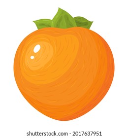 Fresh whole persimmon fruit isolated on white background. Summer fruits for healthy lifestyle. Organic fruit. Cartoon style. Vector illustration for any design.