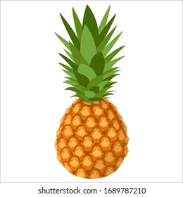 Fruta de piña entera fresca aislada en fondo blanco. Frutas de verano para un estilo de vida saludable. Fruta orgánica. Estilo de caricatura. Ilustración vectorial para cualquier diseño.