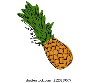 Fresh whole pineapple isolated on white background. tropical product. Hand drawn or doodle style. Flat vector illustration