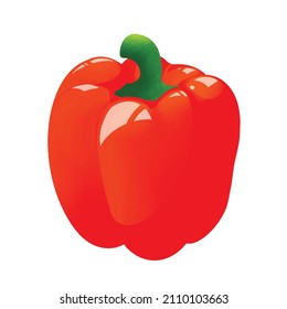 Fresh Whole Red Bulgarian Capsicum Paprika Bell Pepper isolated on white background, Organic Fruits and Vegetable Clipart, Cooking Market Ingredients Vector Illustrations