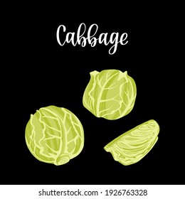 Fresh whole roach of cabbage and a piece. Healthy nutrition product. Vector hand drawn flat isolated illustration with hand written lettering for your design on black background.