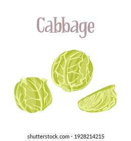 Fresh whole roach of cabbage and a piece. Healthy nutrition product. Vector hand drawn flat isolated illustration with hand written lettering for your design on white background.